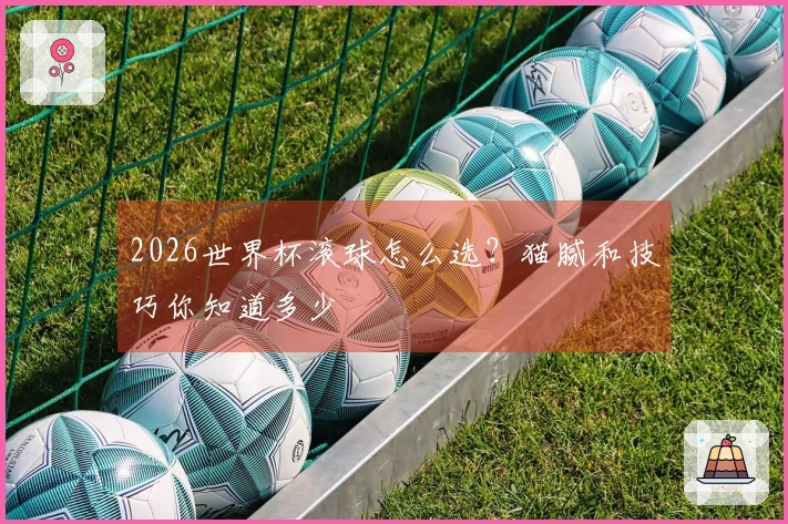 2026世界杯滚球怎么选？猫腻和技巧你知道多少