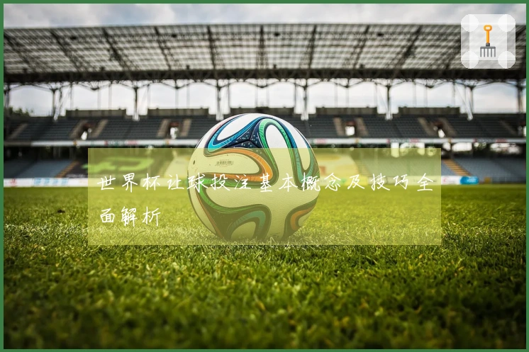 世界杯让球投注基本概念及技巧全面解析