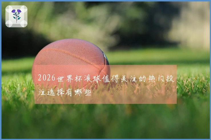 2026世界杯滚球值得关注的热门投注选择有哪些