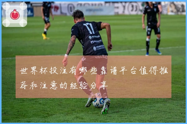 世界杯投注有哪些靠谱平台值得推荐和注意的经验分享