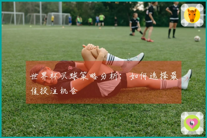 世界杯买球策略分析：如何选择最佳投注机会