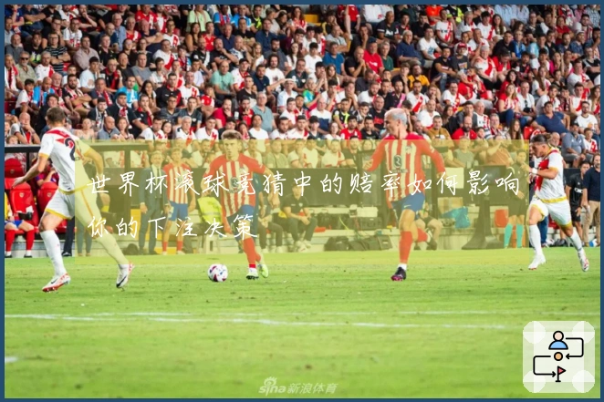 世界杯滚球竞猜中的赔率如何影响你的下注决策