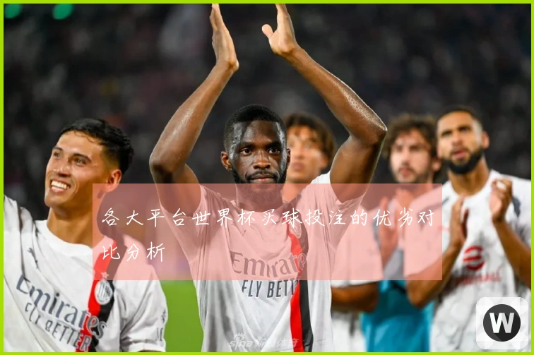 各大平台世界杯买球投注的优劣对比分析