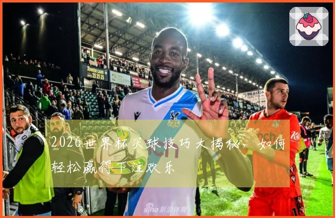 2026世界杯买球技巧大揭秘，如何轻松赢得下注欢乐