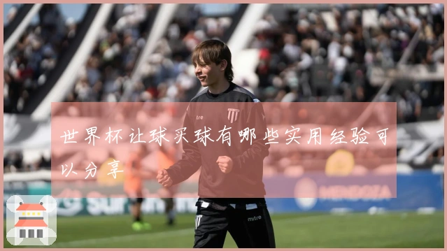 世界杯让球买球有哪些实用经验可以分享