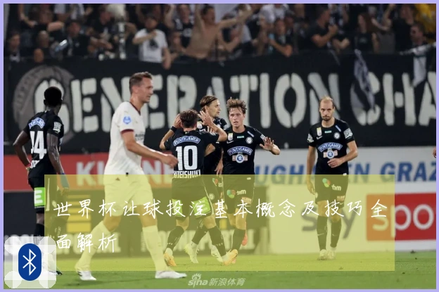 世界杯让球投注基本概念及技巧全面解析