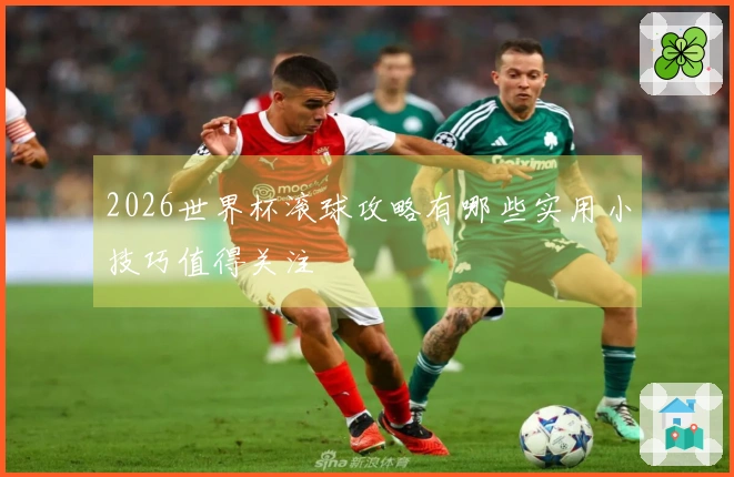 2026世界杯滚球攻略有哪些实用小技巧值得关注